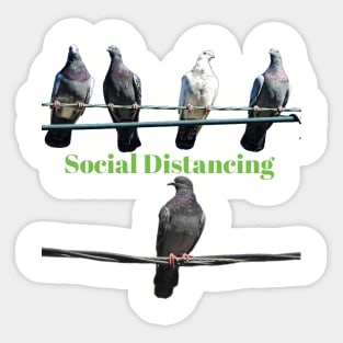 Birds Social Distancing T-shirt Sticker